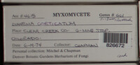 Image Associated With the Occurence